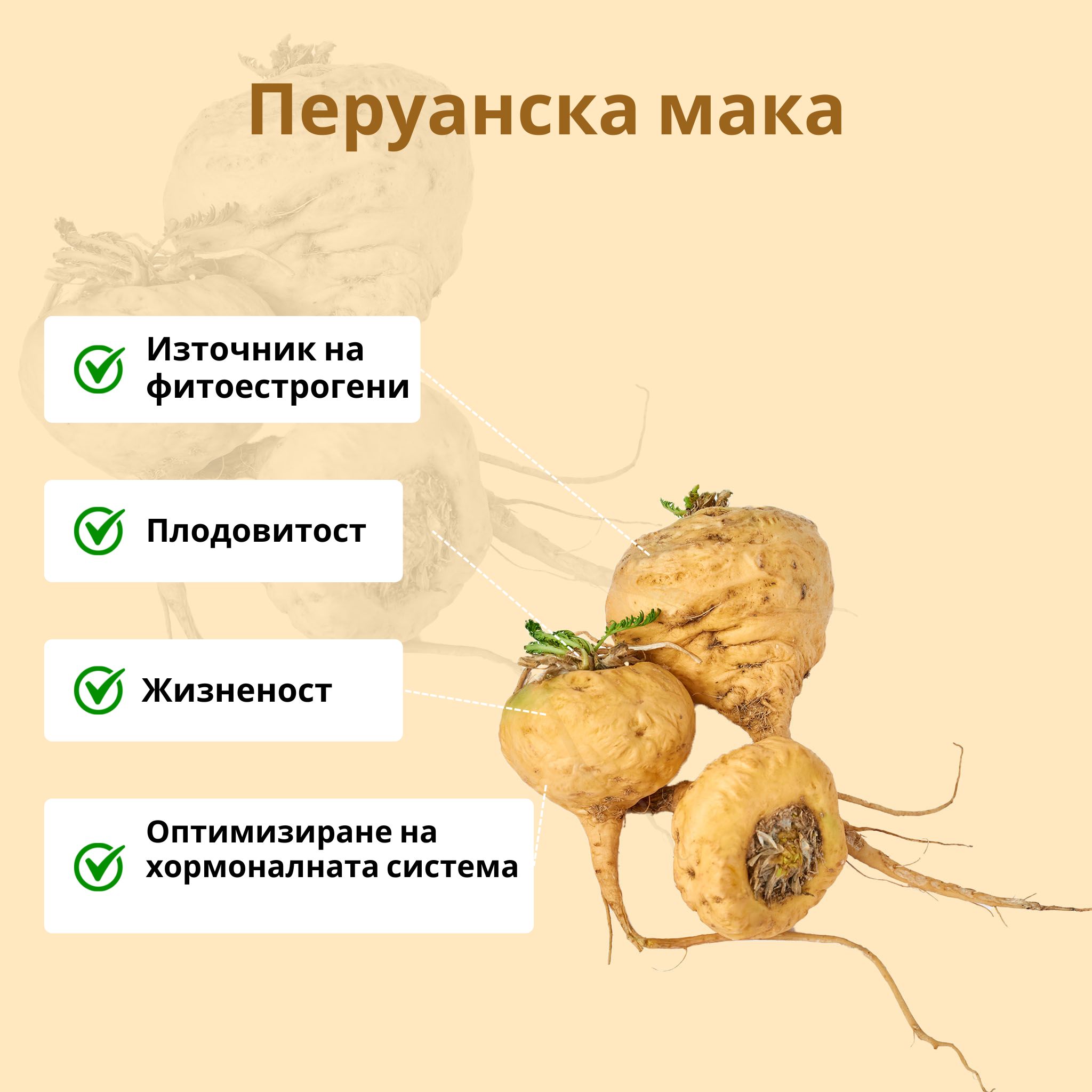 (Bulharština) Maca peruanska